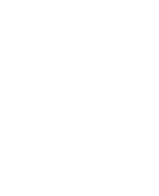 Decorative Shape